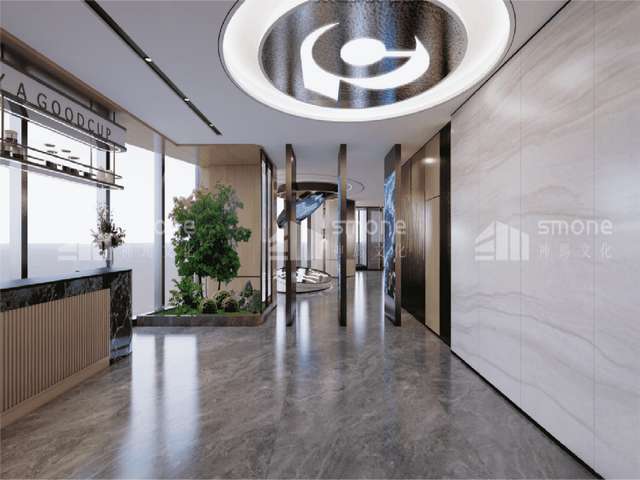 大岭山虎英氧气分析仪探头