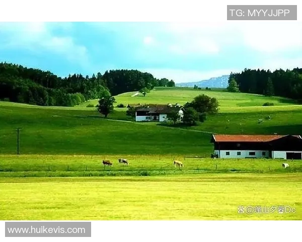 从狂热中苏醒，心灵的草原在静谧中绽放出新的希望与思考